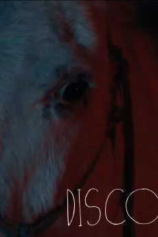 Disco