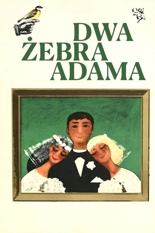Dwa zebra Adama