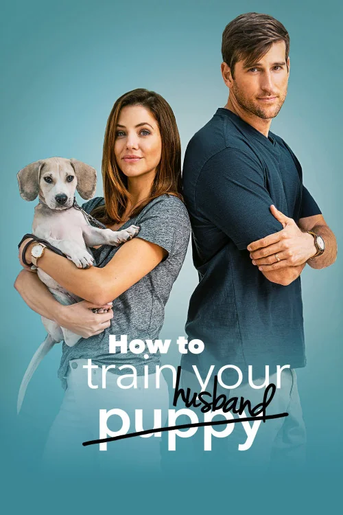 How to Train Your Husband or