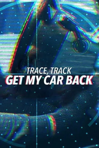 Trace, Track, Get My Car Back S01E13